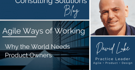 WHY THE WORLD NEEDS PRODUCT OWNERS 